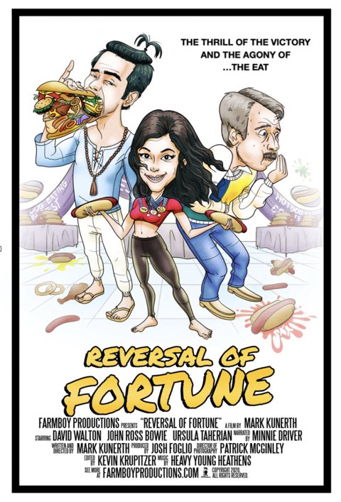 Reversal of Fortune poster